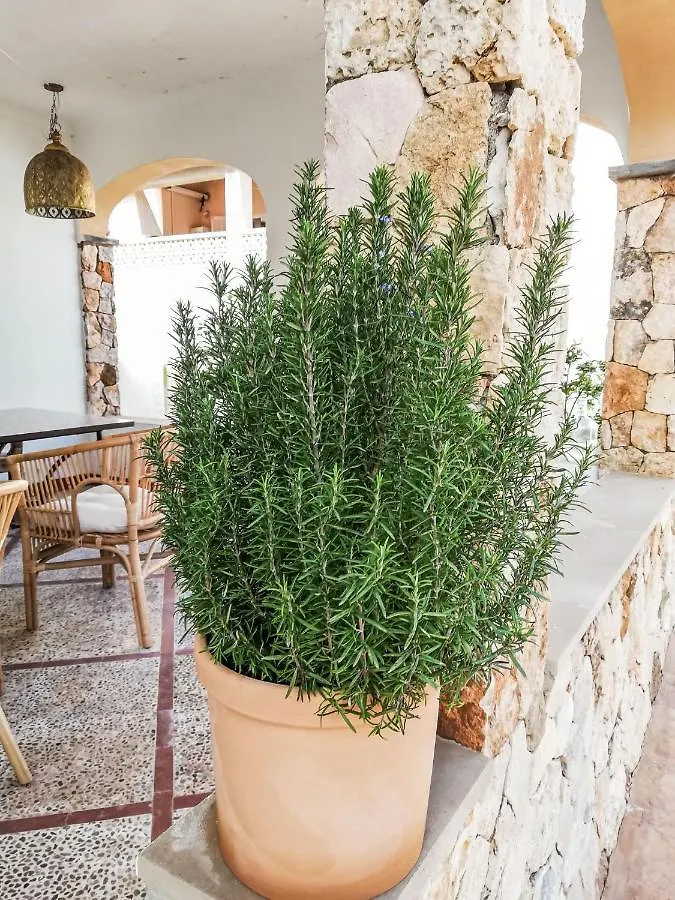 Feriehus Can Picarola Villa Santanyí